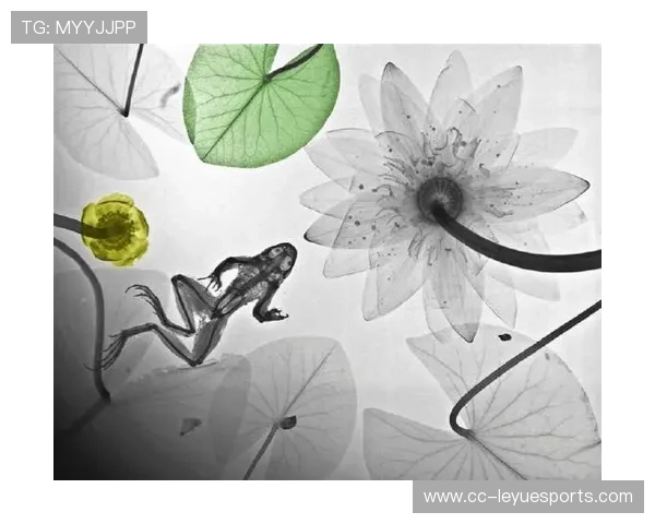 足球界十大蝴蝶球星风采大赏:那些令人叹为观止的华丽瞬间 足球界十大蝴蝶球星风采大赏:那些令人叹为观止的华丽瞬间